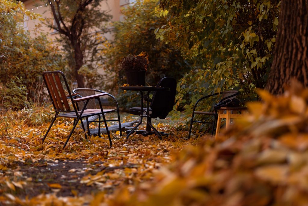 De herfst is hét moment voor een aluminium overkapping in je tuin
