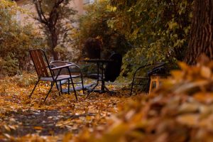 De herfst is hét moment voor een aluminium overkapping in je tuin