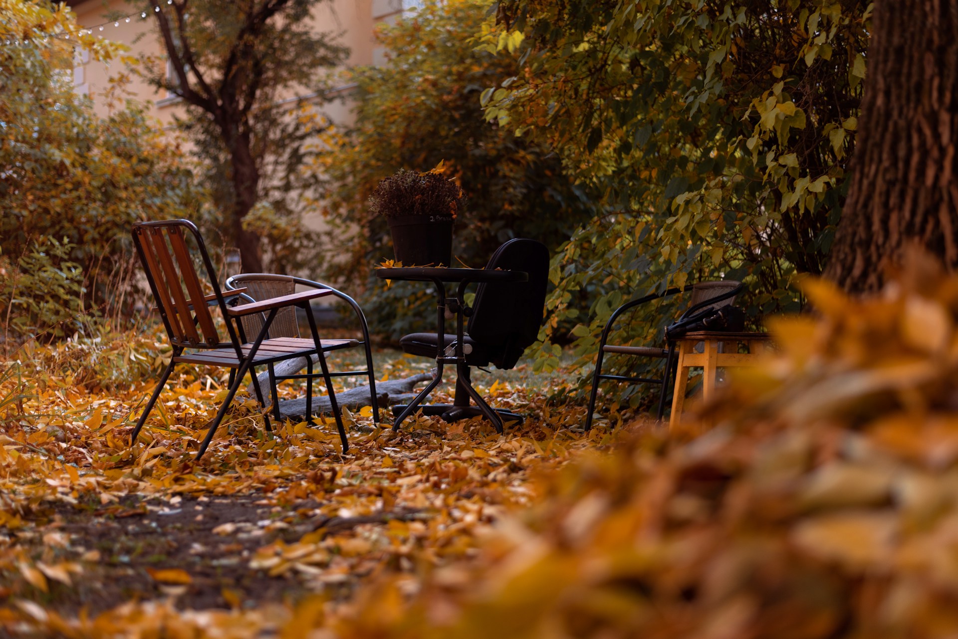 De herfst is hét moment voor een aluminium overkapping in je tuin