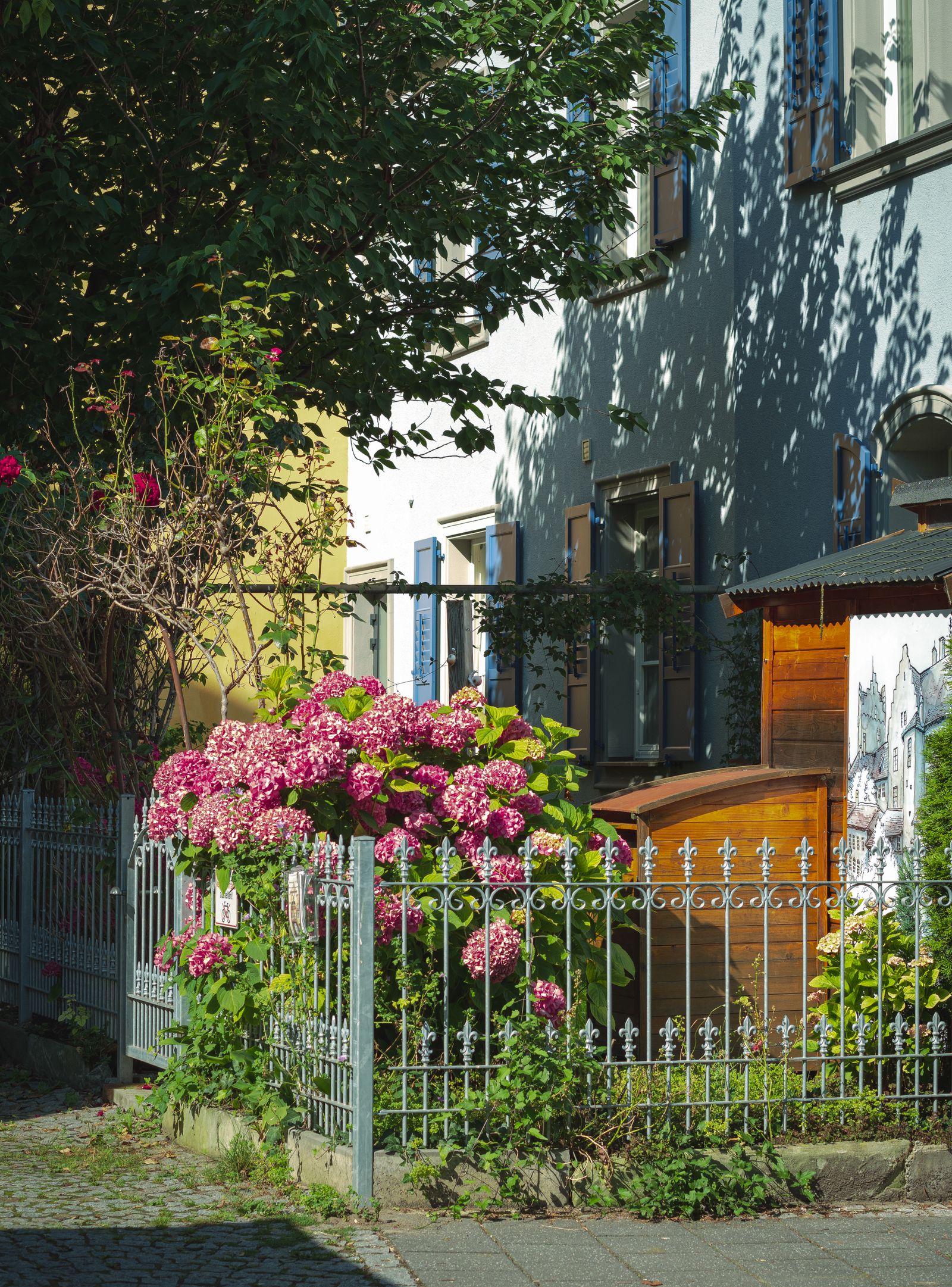 Tuin met schutting en bloemen voor een woning