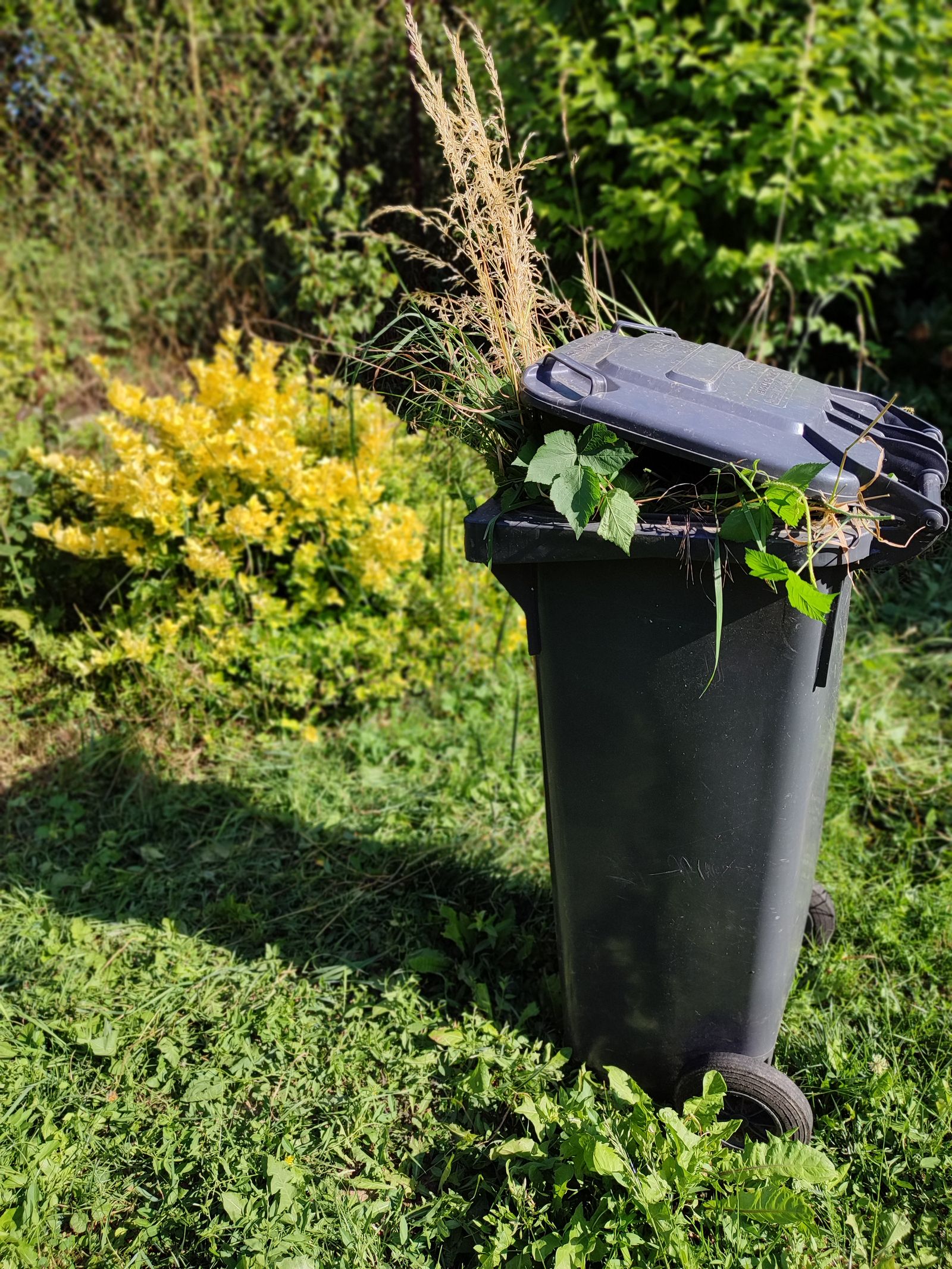 Groene container vol snoeiafval